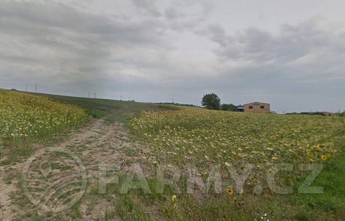 Prodej pole 69892 m² – fotografie 3