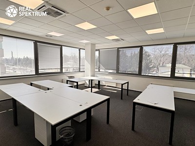 Pronájem komerčního prostoru, 497 m² (3 z 24)