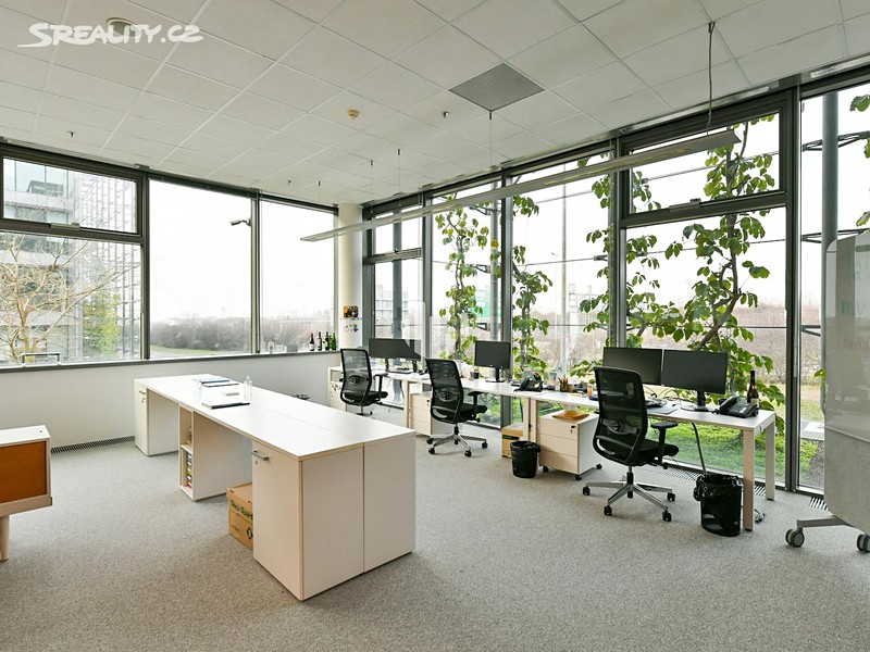 Pronájem kanceláře 482 m² – pohled 4