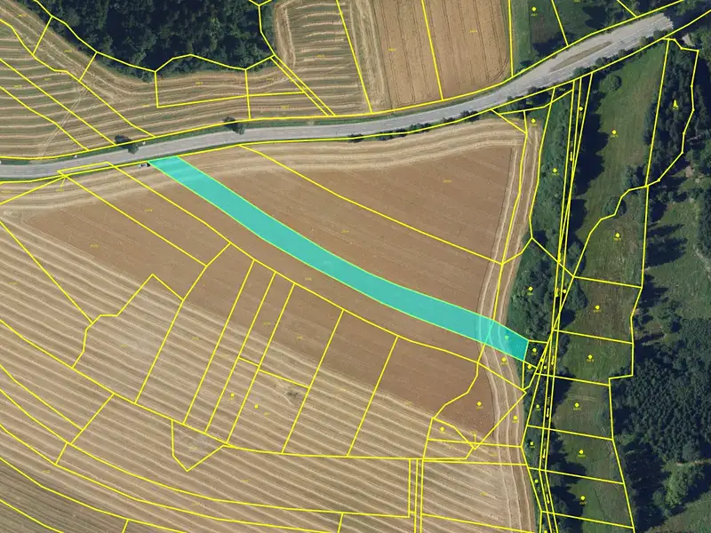Prodej pole 5202 m², Žďárná – náhled fotky 2