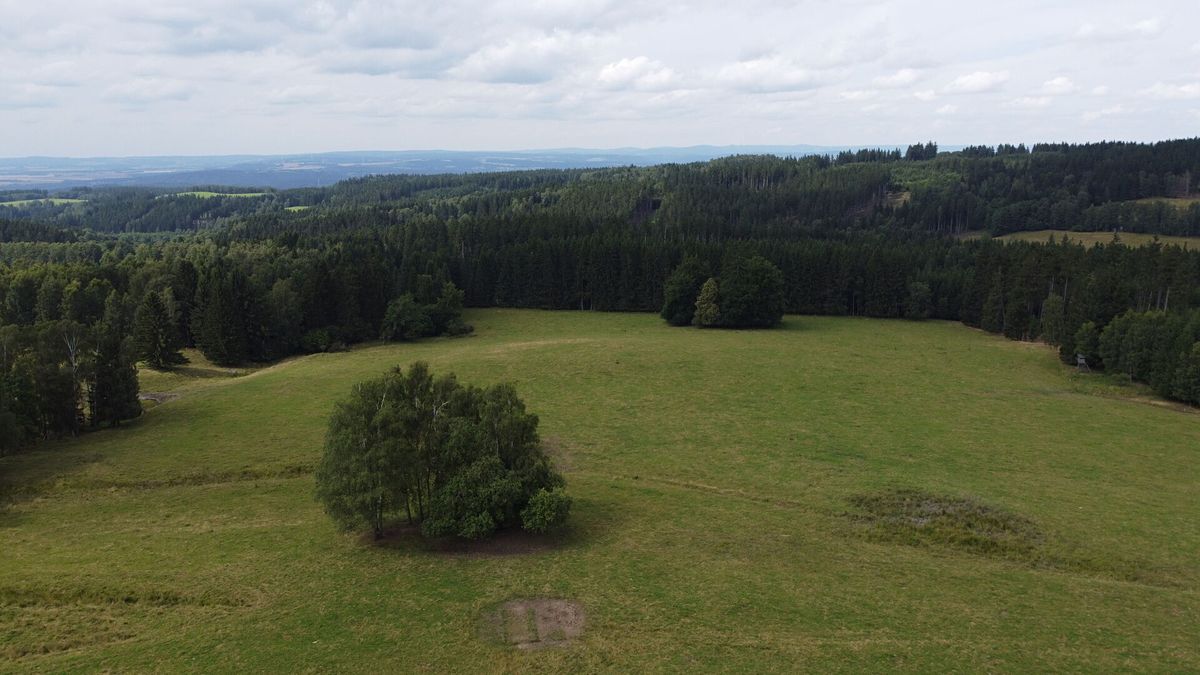 Prodej pole 6044 m²