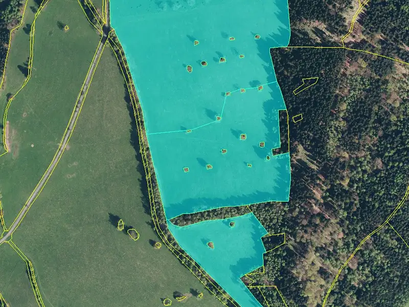 Prodej louky 570000 m², Branná – náhled fotky 2