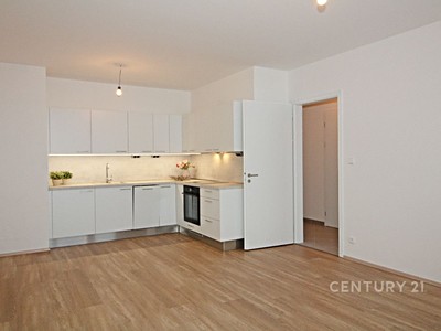 Pronájem bytu 2+kk 52 m²