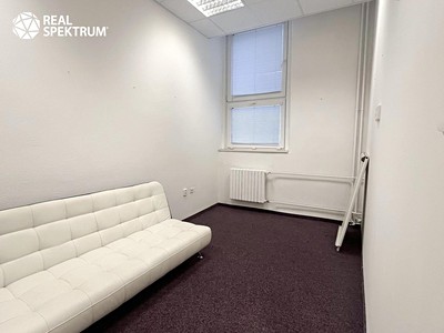 Pronájem komerčního prostoru, 1 200 m² (3 z 8)