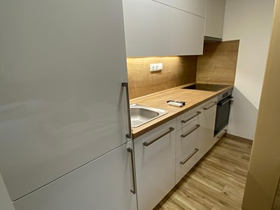 Pronájem bytu 1+kk 26 m² (Jednopodlažní)