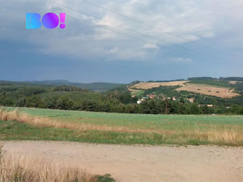 Prodej pole 8221 m², Osvětimany – náhled fotky 2