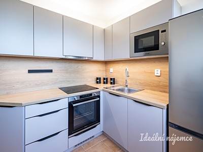 Pronájem bytu 2+1 49 m²