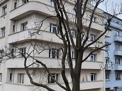 Pronájem bytu 1+kk 33 m² (Jednopodlažní)