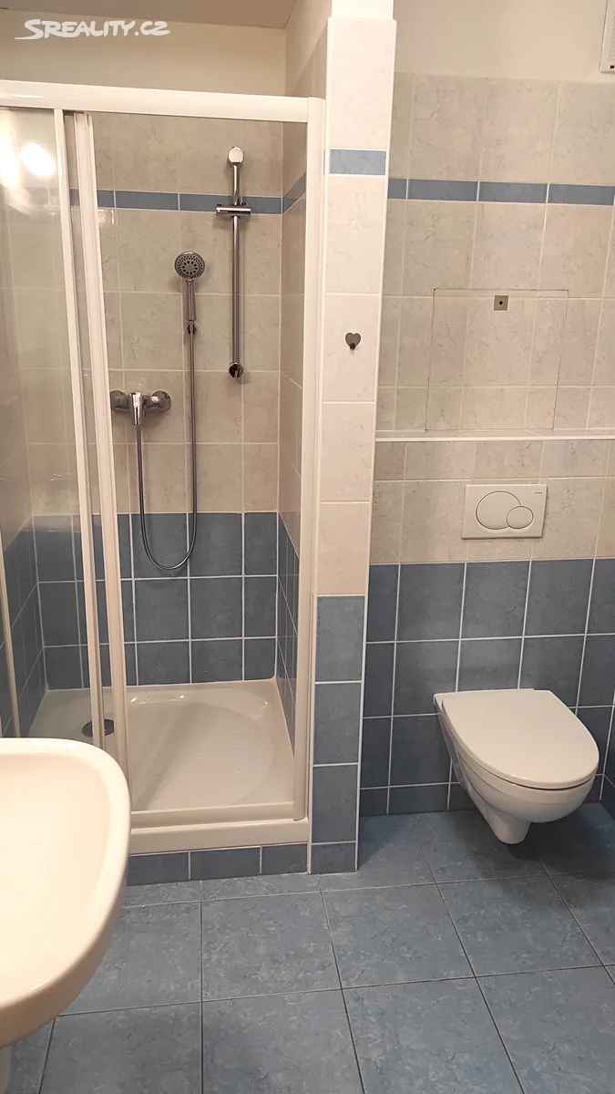 Pronájem bytu 1+kk 43 m² – pohled 4