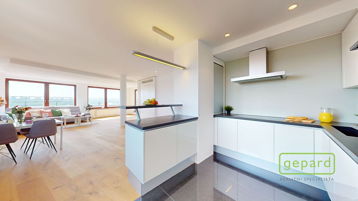 Prodej bytu 5+kk 289 m² – fotografie 5