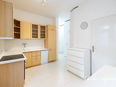 Pronájem bytu 1+1 48 m²