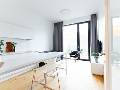 Pronájem bytu 1+kk 29 m²