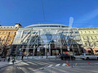 Pronájem kanceláře 366 m²