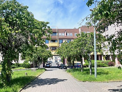 Pronájem bytu 2+kk 49 m² (Jednopodlažní)