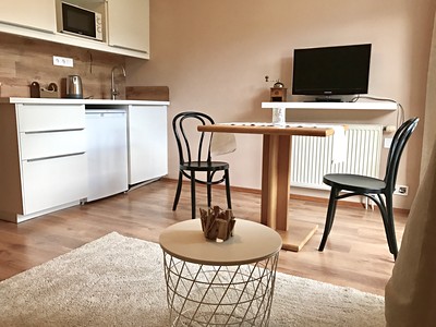 Pronájem bytu 1+kk 21 m²