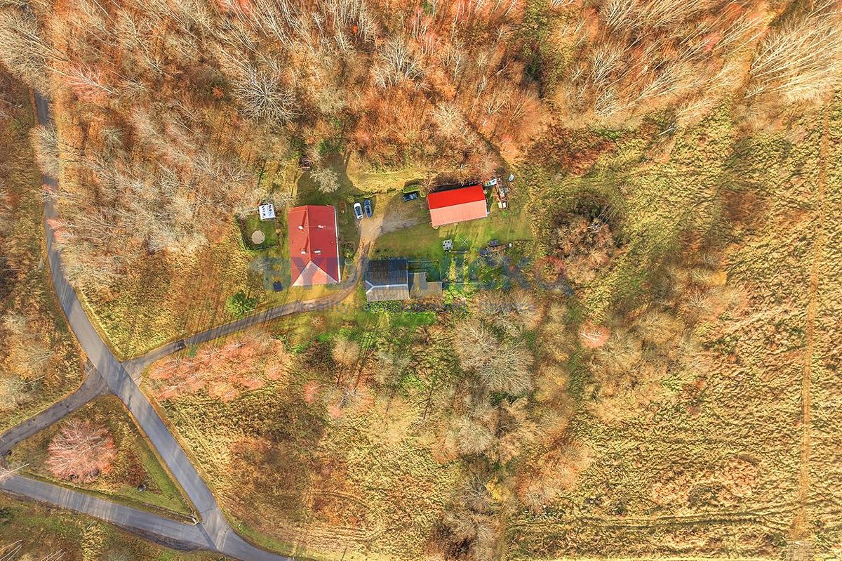 Prodej vícegeneračního domu 456 m², pozemek 4806 m² – fotografie 4