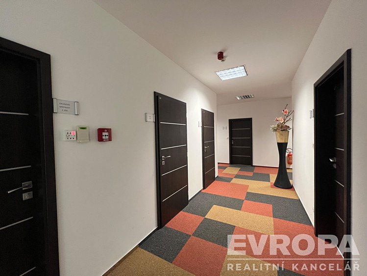 Gewerbefläche zur Miete, 31 m² (5 von 8)