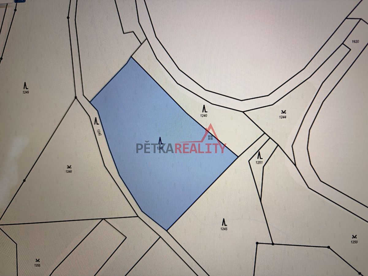 Prodej lesa 4700 m² – fotografie 2