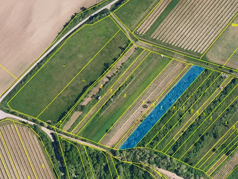 Prodej sadu, vinice 2568 m², Nikolčice – náhled fotky 3
