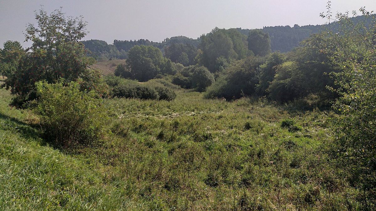 Prodej pole 34244 m²