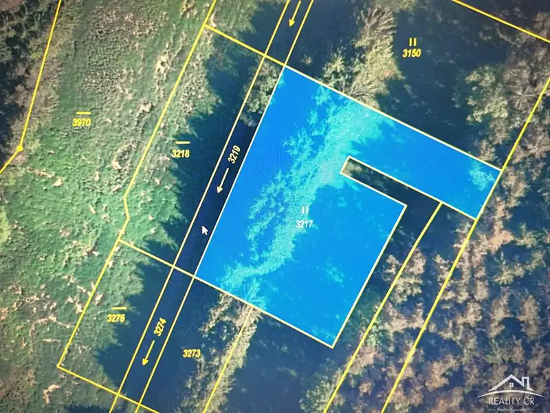 Prodej louky 3500 m², Jindřichův Hradec – náhled fotky 1