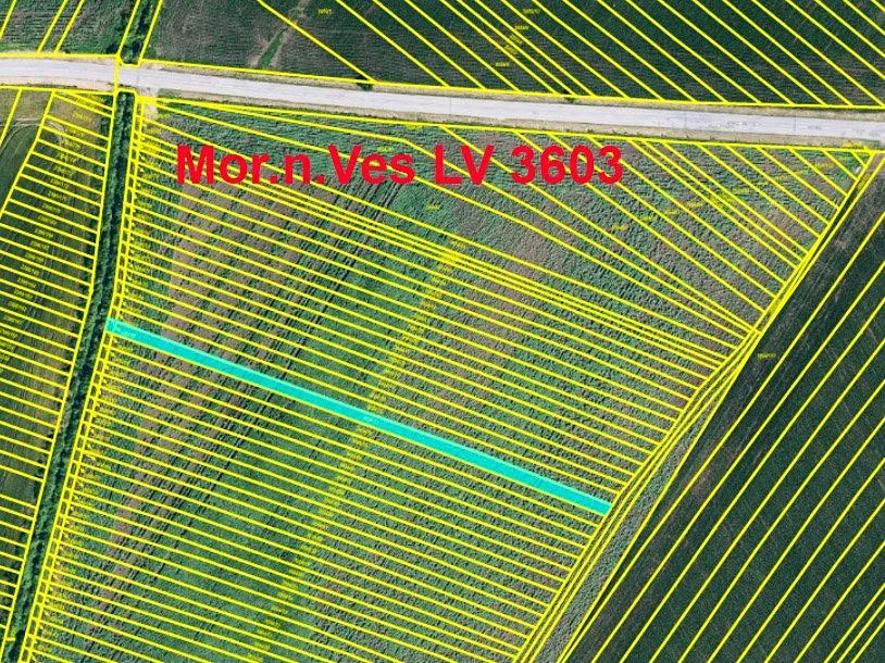 Prodej podílu 1/3 pole 890 m²