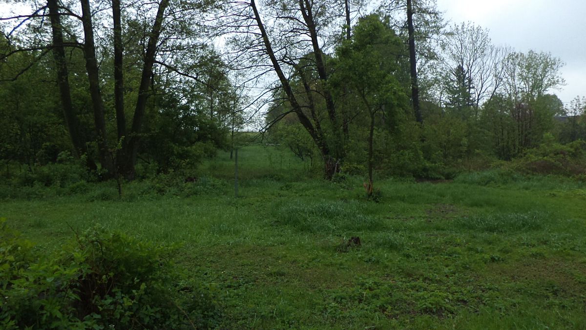 Prodej pozemku 1387 m² – fotografie 2