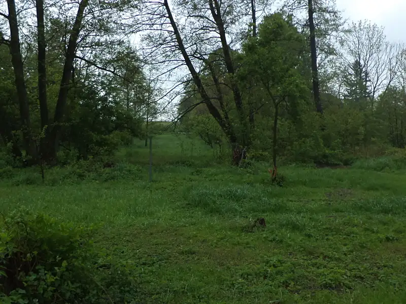 Prodej pozemku 1387 m², Vlčice – náhled fotky 2