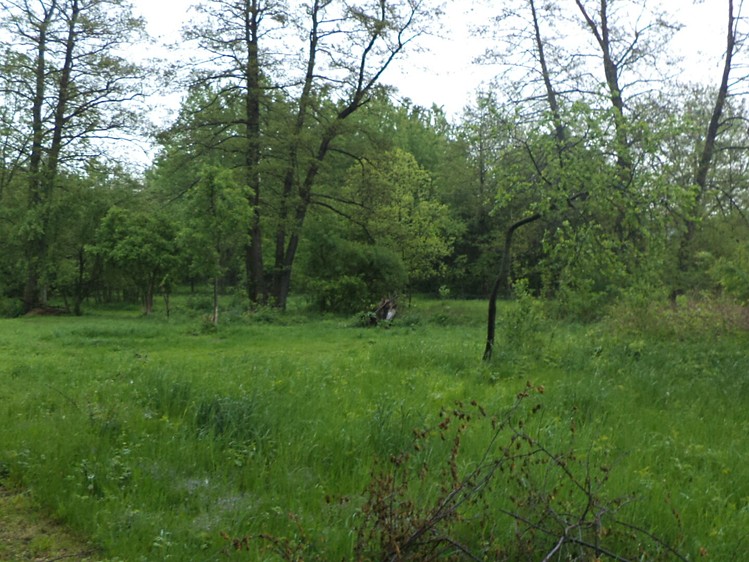 Prodej pozemku, 1 387 m² (3 z 6)
