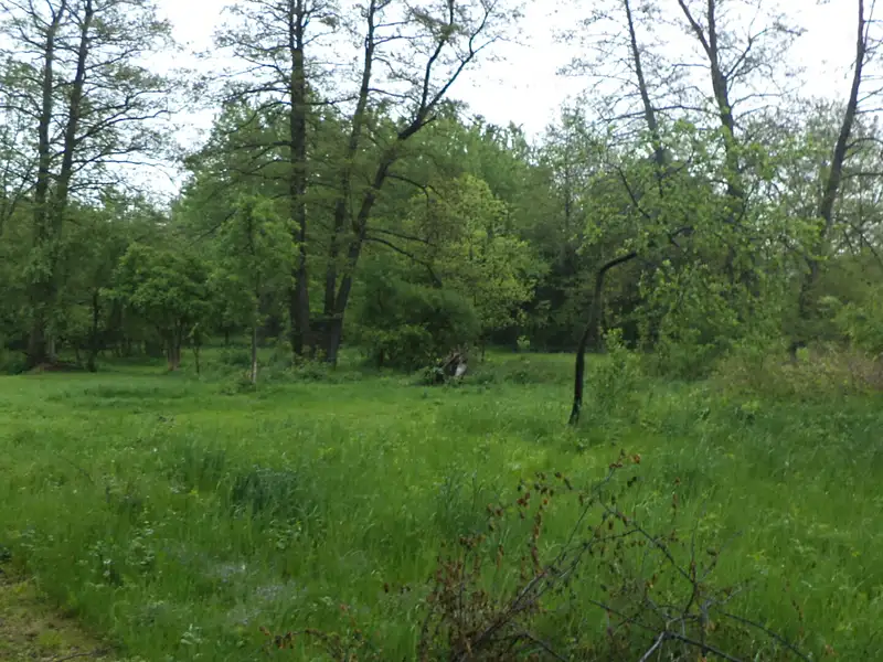 Prodej pozemku 1387 m², Vlčice – náhled fotky 3