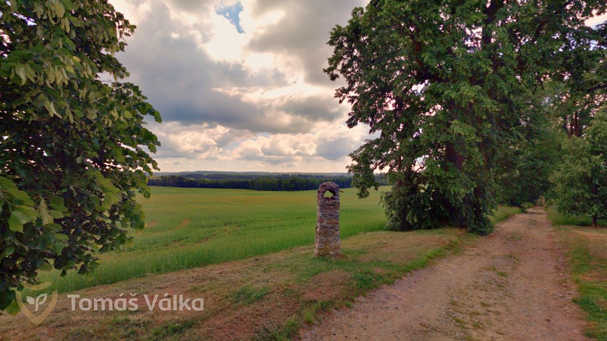 Prodej pole 3748 m², Vavřinec – fotka 1 z 3
