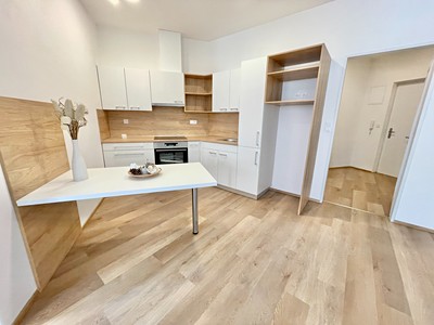 Pronájem bytu 2+kk 50 m² (Jednopodlažní)