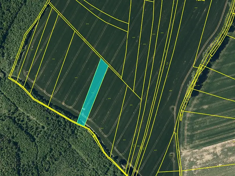Prodej pole 2603 m², Kojetín – náhled fotky 3