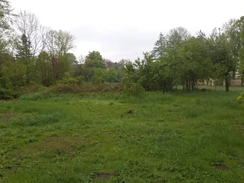Prodej pozemku 1387 m², Vlčice – náhled fotky 1