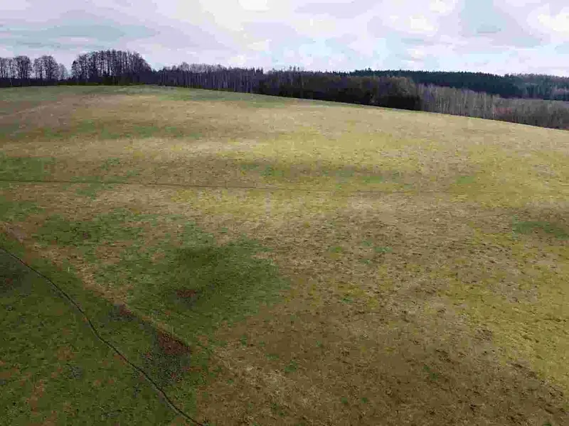 Prodej pozemku 5185 m², Teplice nad Metují – náhled fotky 2