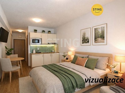 Pronájem bytu 1+kk 24 m²