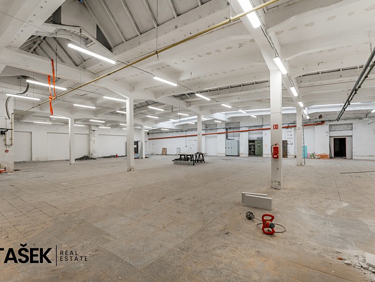 Gewerbefläche zur Miete, 1.253 m² (4 von 18)
