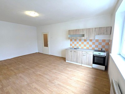 Pronájem bytu 1+kk 37 m² (Jednopodlažní)