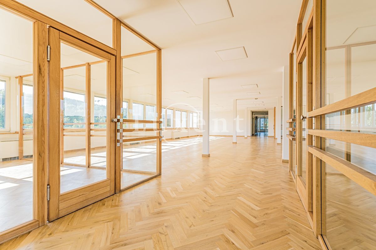 Pronájem kanceláře 257 m² – fotografie 3