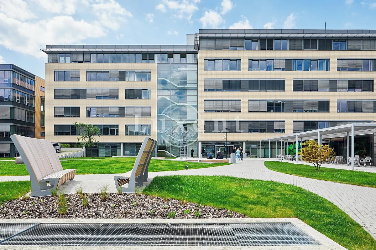 Pronájem kanceláře 516 m²