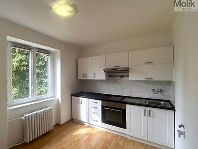 Pronájem bytu 1+1 30 m²