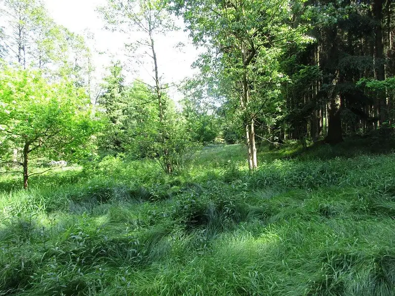Prodej louky 3266 m², Velký Šenov – náhled fotky 2