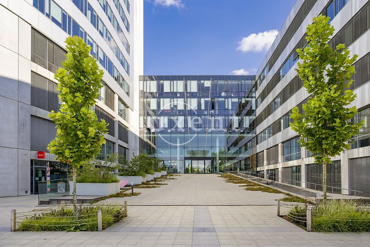 Pronájem obchodního prostoru 630 m² – fotografie 3