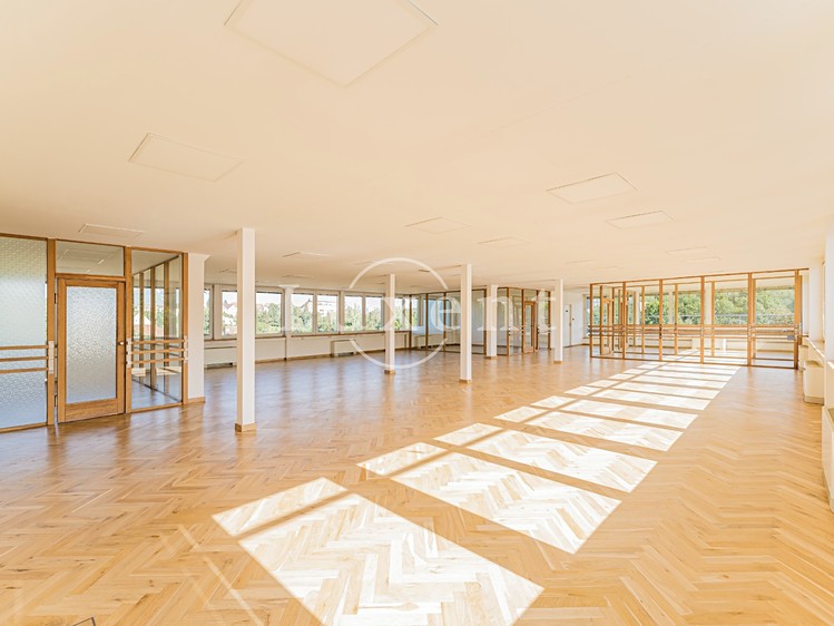 Комерційне приміщення в оренду, 257 м² (11 з 30)
