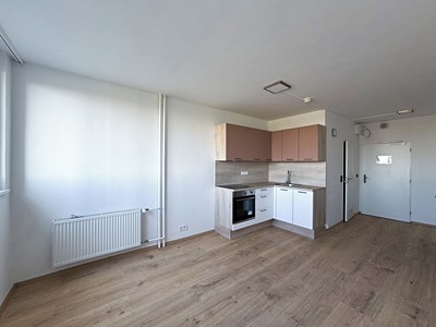 Pronájem bytu 1+kk 25 m²