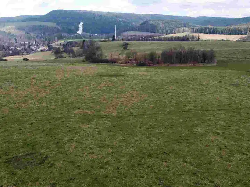 Prodej pozemku 5185 m², Teplice nad Metují – náhled fotky 3
