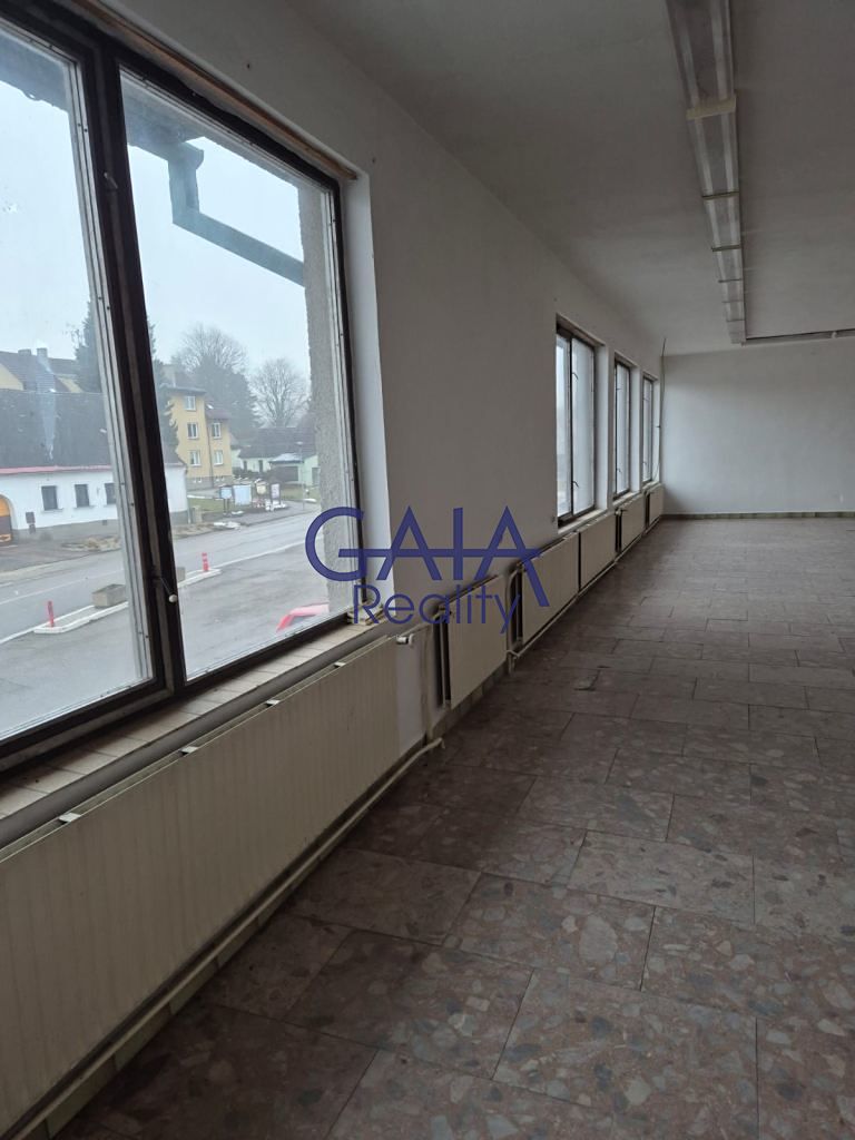 Prodej obchodního prostoru 307 m² – fotografie 4
