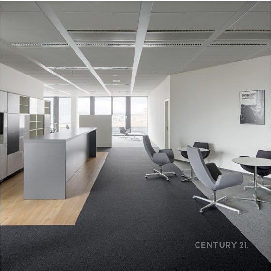 Pronájem kanceláře 535 m² – fotografie 5