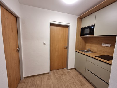 Pronájem bytu 2+1 55 m² (Jednopodlažní)