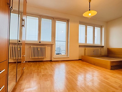 Pronájem bytu 1+1 45 m²